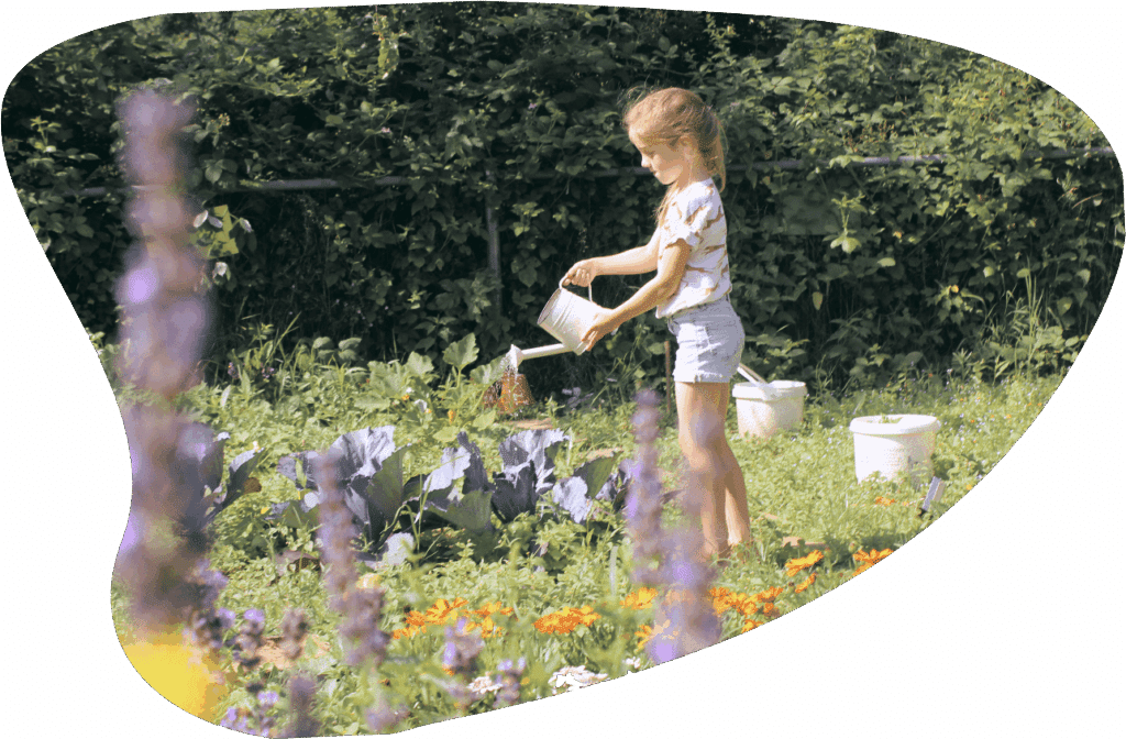 lotus-training-17